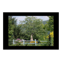 HET LAND GARDEN poster