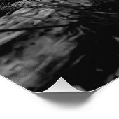 Het land neemt terug perfect poster (Hoek)