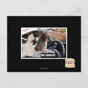 Het land van de knuppel briefkaart