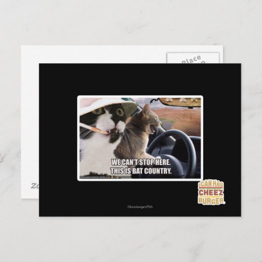 Het land van de knuppel briefkaart (Voorkant / Achterkant)