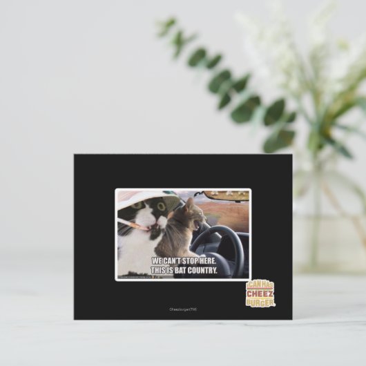 Het land van de knuppel briefkaart (Staand voorkant)