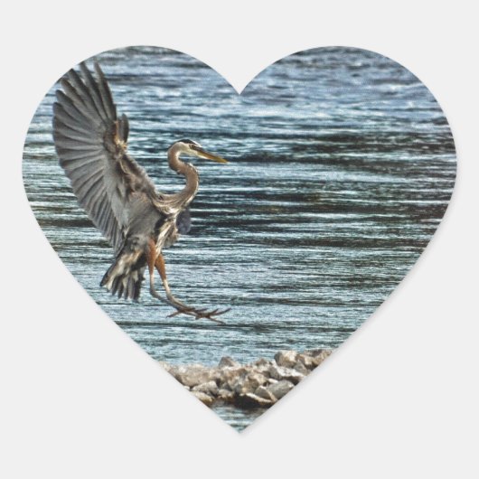 Het landende Grote Blauwe Heron Wildlife Birdlover Hart Sticker (Voorkant)