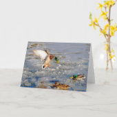 Het landende Wenskaart van de Kunst van het Wild Kaart (Gele Bloem)