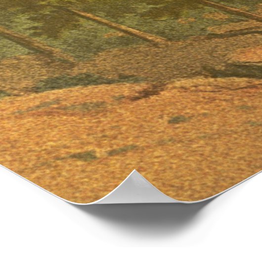 Het  landschap Hood Oregon Poster (Hoek)