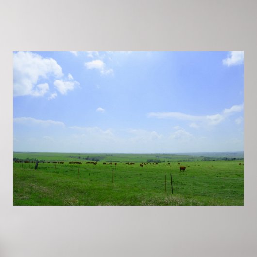 Het landschap Kansas Poster (Voorkant)