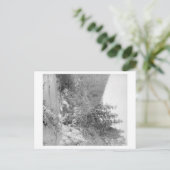 Het landschap op de weg Deadwood naar Sturgis Briefkaart (Staand voorkant)