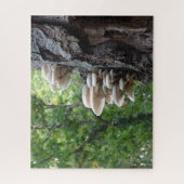 Het landschap Puzzle: Prachtige Porseleinen padden Legpuzzel (Verticaal)