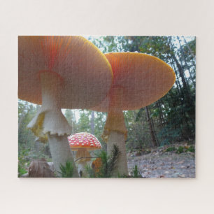 Het landschap Puzzle: Vliegende Amanitas in Forres Legpuzzel