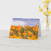 Het landschap van California Poppies Kaart (Gele Bloem)
