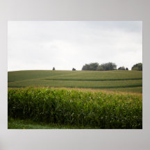 Het Landschap van Cornfield in de Kleur van de Hil