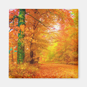 Het Landschap van de Natuur van de Herfst van Magneet