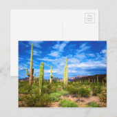Het landschap van de woestijn cactus, Arizona Briefkaart (Voorkant / Achterkant)