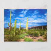 Het landschap van de woestijn cactus, Arizona Briefkaart (Voorkant)