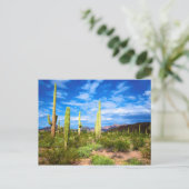 Het landschap van de woestijn cactus, Arizona Briefkaart (Staand voorkant)