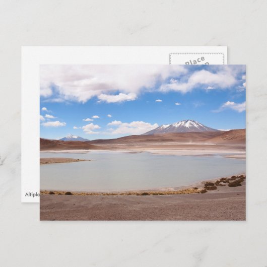 Het landschap van het Altiplano-briefkaart Briefkaart (Voorkant / Achterkant)