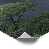 Het landschap van Mt. Huangshan (Gele Berg) in Poster (Hoek)