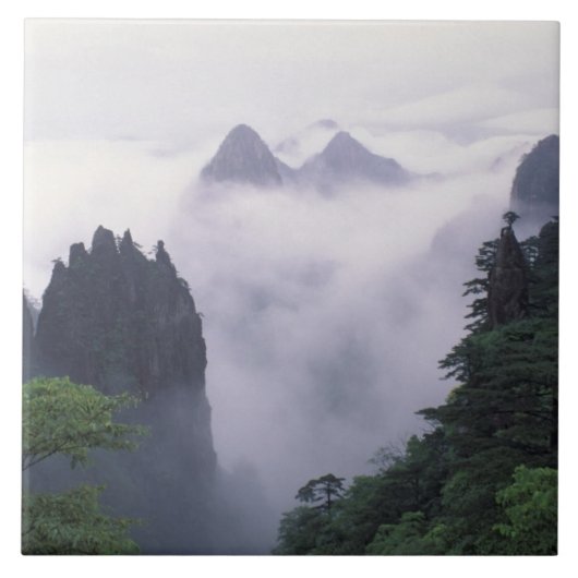 Het landschap van Mt. Huangshan (Gele Berg) in Tegeltje (Voorkant)