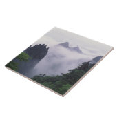 Het landschap van Mt. Huangshan (Gele Berg) in Tegeltje (Zijkant)