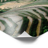 Het landschap van rijstterrassen in de bergen, foto afdruk (Hoek)