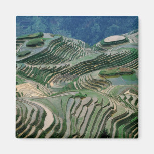 Het landschap van rijstterrassen in de bergen, magneet