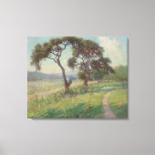 Het landschap van Texas Hill Country, Onderdonk Canvas Afdruk (Voorkant)