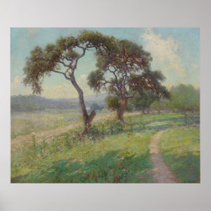 Het landschap van Texas Hill Country, Onderdonk Poster