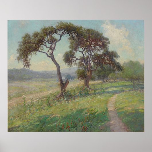 Het landschap van Texas Hill Country, Onderdonk Poster (Voorkant)