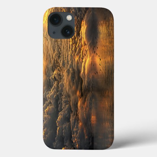 Het landschap van wolken en water met vogels Case-Mate iPhone case (Achterkant)
