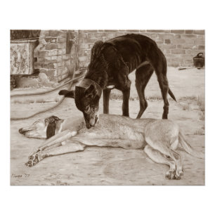 het landschapssepia van windhondhonden perfect poster