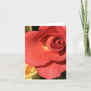 het lange rood nam toe kaart