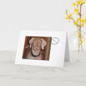 Het late Wenskaart van de Verjaardag Kaart (Gele Bloem)