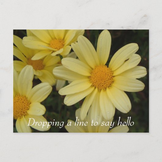 Het laten vallen van een lijn om hallo briefkaart  (Voorkant)