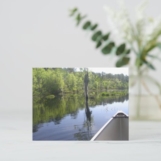 HET LAURA S. WALKER STATE PARK BRIEFKAART (Staand voorkant)