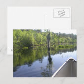 HET LAURA S. WALKER STATE PARK BRIEFKAART (Voorkant / Achterkant)