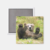 Het Lazy Brown Beer Magneet (Voorkant / Achterkant)