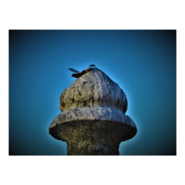 "Het leeft bij zonsondergang" Foto Afdruk