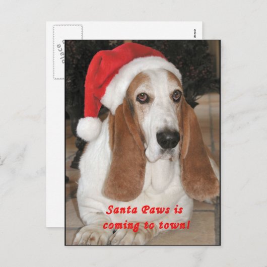 Het Lege Briefkaart van de Poten van de kerstman (Voorkant / Achterkant)