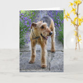 Het Lege Wenskaart van Airedale Terrier Kaart (Gele Bloem)