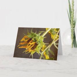 Het Lege Wenskaart van de Cyclus van de zomer Kaart