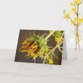 Het Lege Wenskaart van de Cyclus van de zomer Kaart (Gele Bloem)