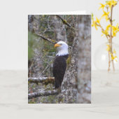 Het lege Wenskaart van de Foto Kaart (Gele Bloem)