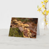 Het lege Wenskaart van de Foto Kaart (Gele Bloem)