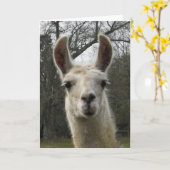 Het lege Wenskaart van de Lama Kaart (Gele Bloem)