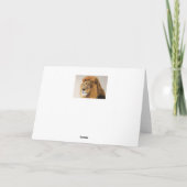 Het lege wenskaart van de leeuw kaart (Achterkant)