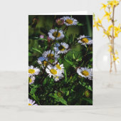 Het Lege Wenskaart van de margriet Kaart (Gele Bloem)