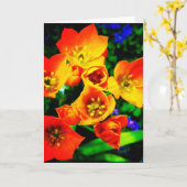 Het Lege Wenskaart van de oranje Kerstster Kaart (Gele Bloem)