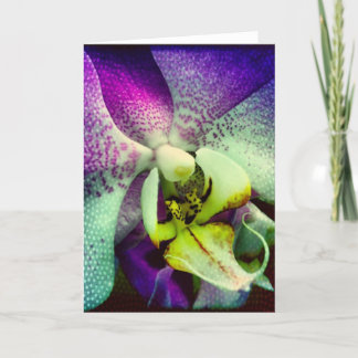 Het Lege Wenskaart van de paarse Orchidee Kaart