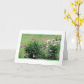 Het Lege Wenskaart van de Rozen van de tuin Kaart (Gele Bloem)