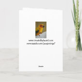 Het Lege Wenskaart van de Vogel van Conure van de Kaart (Achterkant)