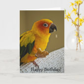 Het Lege Wenskaart van de Vogel van Conure van de Kaart (Gele Bloem)